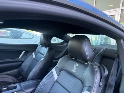 2021 Ford Mustang Shelby GT500 Fastback