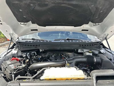 2024 Ford F-150 Tremor