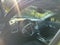 2012 Chevrolet Equinox LT w/1LT