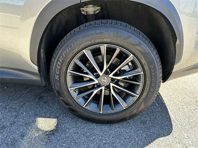 2023 Lexus NX NX 350 Premium