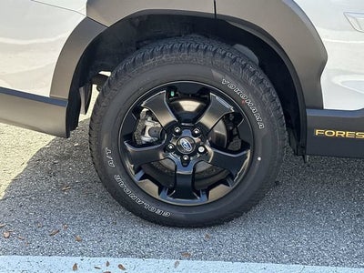 2024 Subaru Forester Wilderness