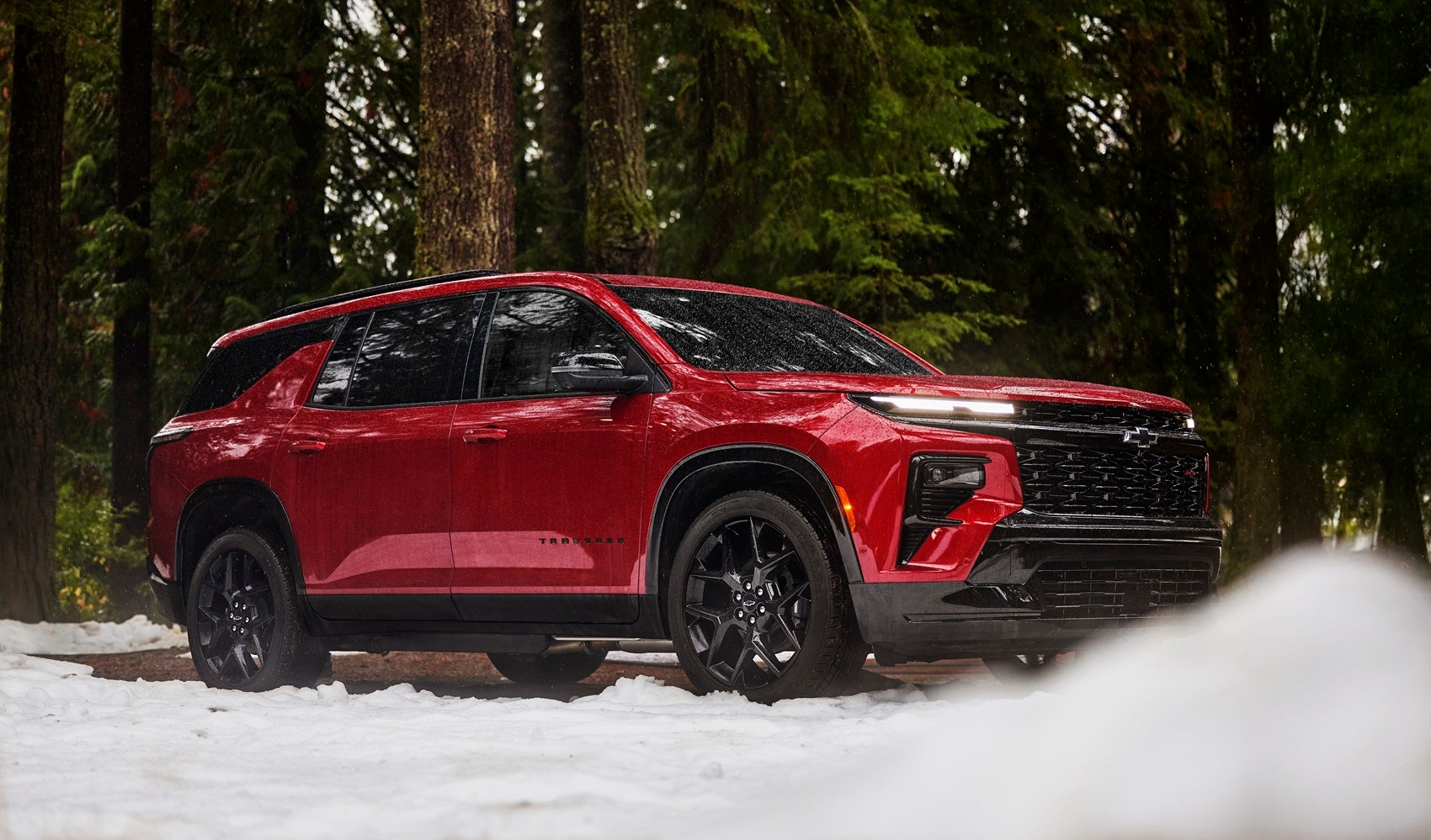 Used Car Dealer near Temple Terrace FL