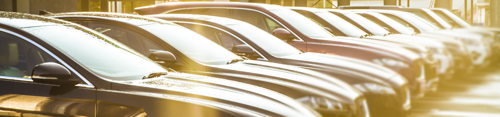 Used Car Dealer Dade City FL